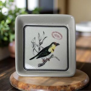 British Museum Natural History Ceramic Plate Stamped